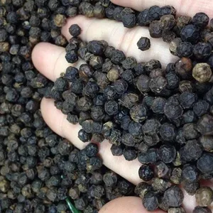 พริกไทยดำเวียดนามขายส่ง สะอาดกว่าเดิม 550 GL ASTA - Product Image 1