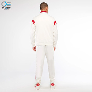 Veste de survêtement en polyester à manches contrastées, avec logo personnalisé à rayures, à la mode, slim et moulant pour hommes, vente en gros, - Product Image 5