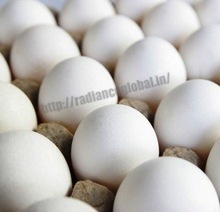 Huevos de Gallina - Product Image 3