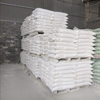 Bubuk Batu Kapur Berkualitas Tinggi untuk Pakan Ternak Kemurnian Tinggi Kalsium 80/250 Mesh 50kg Kantong PP Garansi 5 Tahun Penggunaan Rumah Tangga Putih SHC