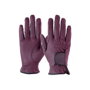 Gants d'équitation de performance isolés Gants high-tech conçus pour une performance ultra lisse et confortable dans des conditions froides - Product Image 6