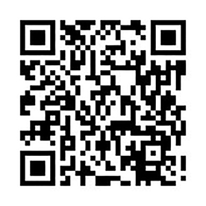 ไต้หวันผู้ผลิตยานยนต์เกรดปัจจุบันตรวจจับชิปตัวต้านทาน,1เมตรโอห์ม ~ 1000เมตรโอห์ม,1/16วัตต์ ~ 2วัตต์ - Product Image 6
