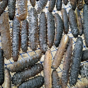 ขายส่งแตงกวาทะเลแห้งและแช่แข็งแตงกวาทะเล,ธรรมชาติสำหรับขาย - Product Image 1