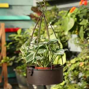 Soporte de cerámica para maceta colgante de pared, soporte de metal para decoración de hogar y oficina - Product Image 4