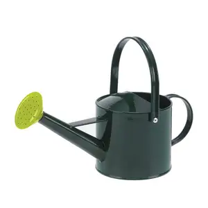 Arrosoir ou Pot en métal pour jardin, Design vert classique, vente en gros, hôtel, Restaurant, maison, qualité supérieure