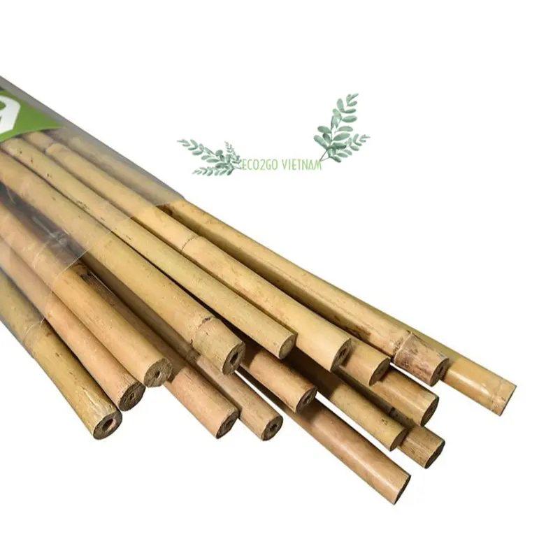 Commercio all'ingrosso in Vietnam bastone di bambù per la pianta/bastone di bambù per il supporto del fiore con l'alta qualità di bambù esportato da Eco2go