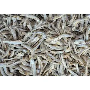 Spray spécial soin des poissons séchés au soleil, 1 pièce, exportation depuis le Vietnam pour aliments, Jade WhatsApp + 84 787408159