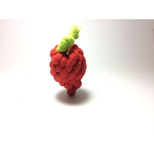 La mejor calidad de exportación, juguetes de cuerda duraderos cómodos, etiquetas de identificación de algodón personalizado con patrón de animales, perros, tamaño pequeño, venta colorida - Product Image 3