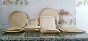 Platos de hoja de palma Areca ecológicos personalizados, fuente culinaria profesional con técnica grabada, tipo de patrón de planta - Product Image 4