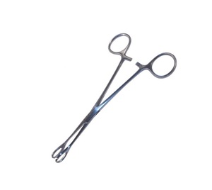 Sponge Forceps Foerster 24cm Serrated Straight - Product Image 6