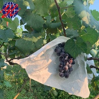 Sac en papier pour la culture des fruits, fabriqué en Chine, pour couvrir les fruits comme les goyaves, les mangues et les bananes