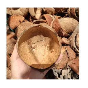 Competitive Price Good Quality Natural Coconut Shell From Vietnam