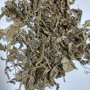 Patchouli Bladeren/Blad Uit Indonesië (Gedestilleerd En Niet-Gedestilleerd). Beste Kwaliteit En Goed Gedroogd. Directe Fabriek Goede Prijs