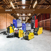 Nouvelle machine à souder professionnelle DANCY portable à moteur DC TIG/MMA en acier inoxydable 220V 250A avec protection automatique et technologie onduleur
