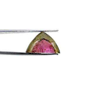 Natural Bio Color Tourmaline 19 × 12ミリメートルFreeform Rough 8.65 Cts Loose Gemstone Making For Jewelry