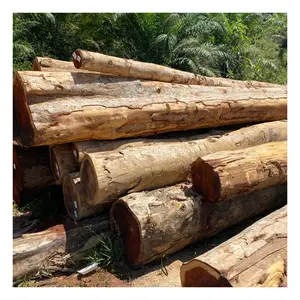 Chengal Log Raw Wood Logs - Veneer Log Timber