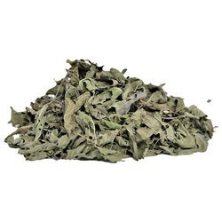 Vana-Hierba de origen indio, hojas de Tulsi, calidad prémium, Ocimum, grano, mejora el sistema de digestión - Product Image 3