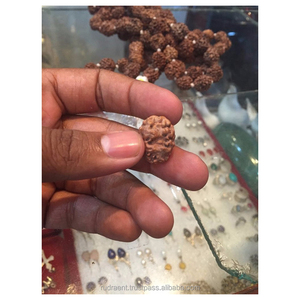 Ban đầu hai mặt/<span class=keywords><strong>mukhi</strong></span> <span class=keywords><strong>rudraksha</strong></span> hạt lỏng màu nâu NP Rudra đá quý - Product Image 1