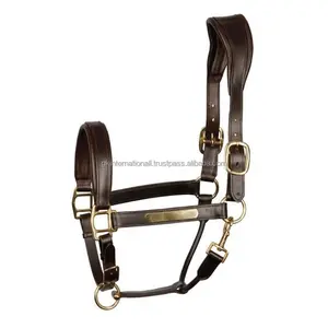 Licol de luxe en cuir pour cheval avec poignée anatomique, double réglage de la tête et accessoires en laiton finition or - Product Image 1