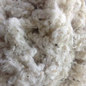 Fibra 100% Algodón para Hilado y Relleno, Material de Desecho, Nopas, Cardado, Tira Plana, Antibacteriano, Ecológico, de Vietnam-Florence - Product Image 4