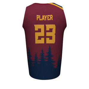 Endeavour-Camiseta y pantalones cortos de baloncesto, prenda personalizada con sublimación completa, Océano, Unisex, OEM - Product Image 3