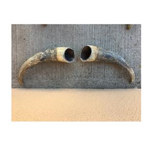 Cuerno de búfalo pulido decorativo ecológico Cuerno al por mayor Venta caliente con el cuerno decorativo de buey de la mejor calidad - Product Image 5