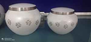 White Odyssey Pet Cremación Urna Brassworld India's Funeral Supplies - Product Image 5