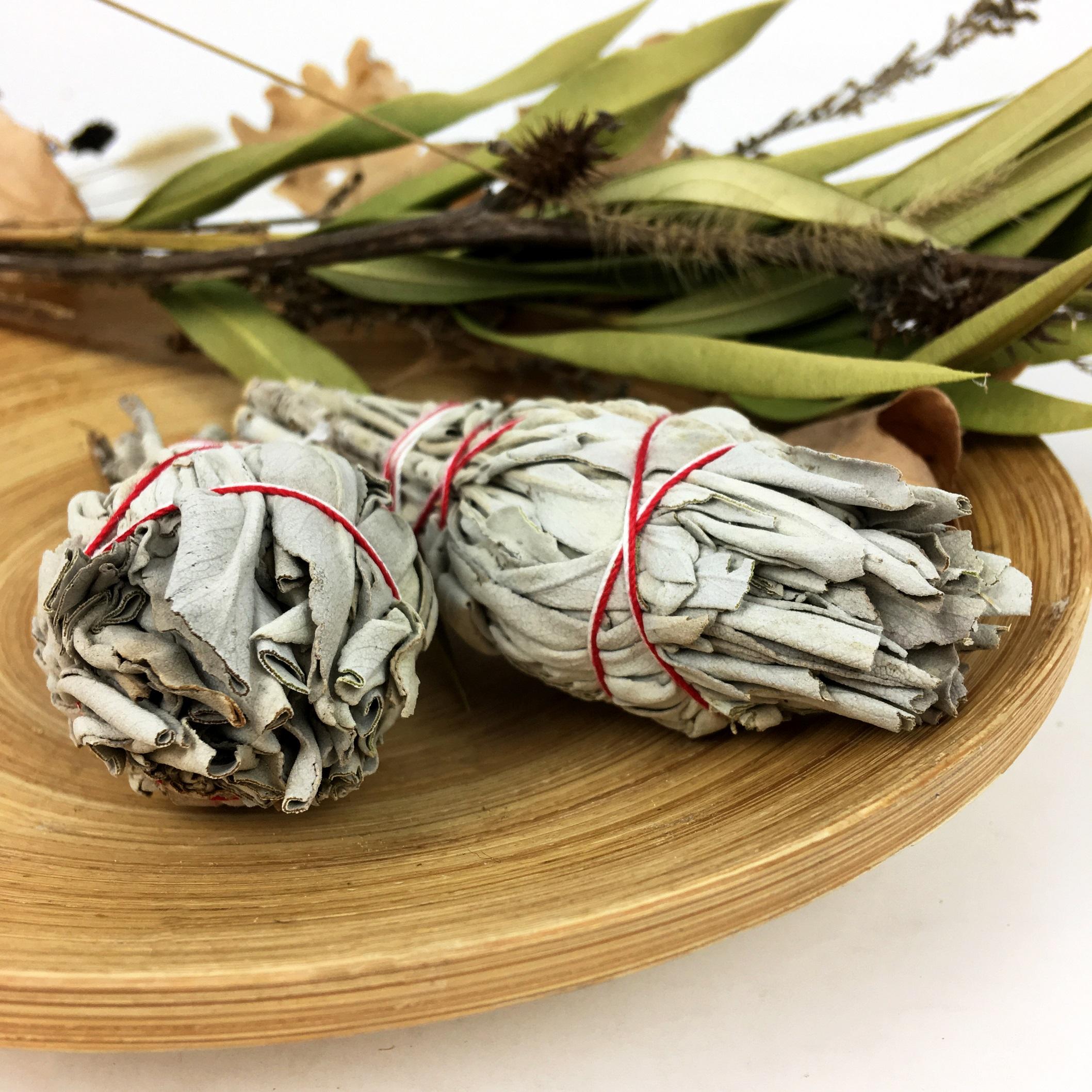 รอยเปื้อนปราชญ์สีขาว