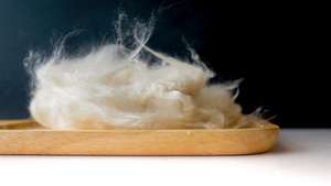 Fibre de Kapok 100% Naturelle et Légère - Bon Produit - Haute Qualité au Vietnam - Product Image 2