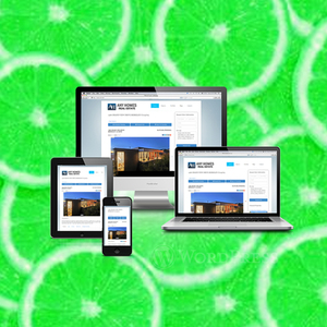บริษัทพัฒนาเว็บไซต์ Wordpress มืออาชีพในอินเดีย |   บริการพัฒนาเว็บไซต์ Wordpress ที่ได้รับรางวัล โดย Webroot - Product Image 3