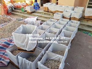 ยางเบนโซอินสยามแท้/ น้ำมันหอมระเหยเบนโซอิน/ ยางเบนโซอินคุณภาพสูงสำหรับทำน้ำหอม คุณลูซี่ +84 929 397 651 - Product Image 3