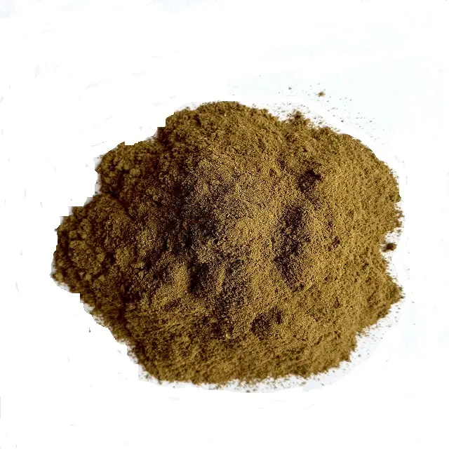 Moringa Oleifera Leaf Extract Pó folhas puras e naturais de origem indiana