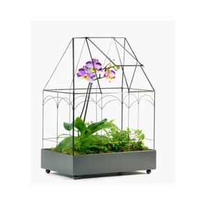 Meilleur design meilleur look jardin suspendu métal et verre terrarium fabricant et exportateur en gros - Product Image 5