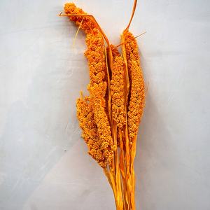 Vera e propria naturale conservata, fiori decorativi, corone e piante fiori secchi, piante all'ingrosso - Product Image 5