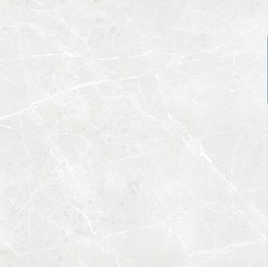 Carreaux de porcelaine polis de qualité supérieure, gris Bullberry, 1200x1200 mm, surface brillante, pour appartements - Product Image 1