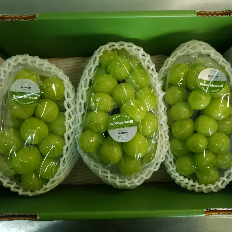 Hoge Zoete Verse Glans Muscat Druiven Natuurlijke Pitloze Groene Druiven Met Rijke Vitaminen Geproduceerd In Korea