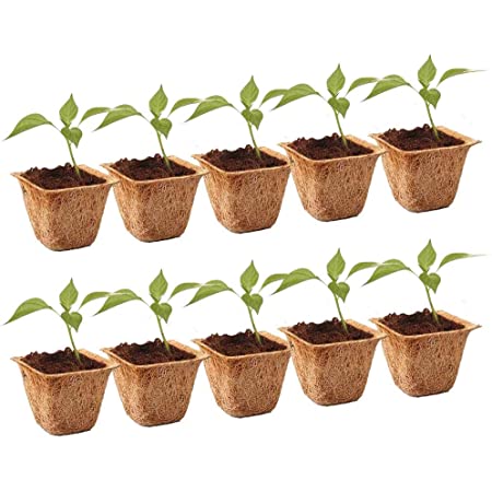 Rechthoek Zaailing Starter Home Sterkte Bloempotten Niet Giftig Kwekerij Lade Universele Kieming Planten Tuin Platte Bodem