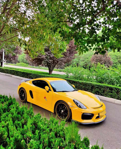 포르쉐 카이맨 박스터 981 GT4 블랙용 카본 파이버 자동차 레이싱 리어 스포일러 윙 립 - Product Image 2