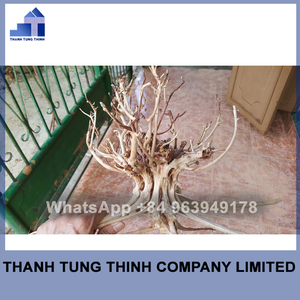 ไม้กฤษณาธรรมชาติสำหรับตู้ปลา,อุปกรณ์ตกแต่งตู้ปลา - Product Image 4