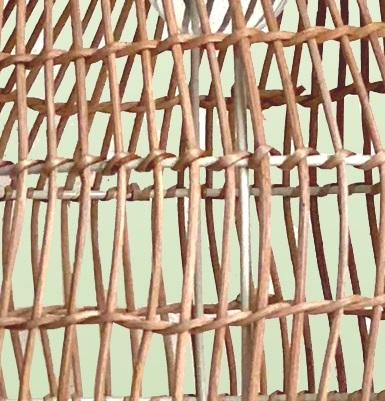 สีน้ำตาลอ่อน