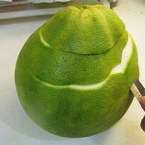 BEST SELLER POMELO PEEL - HAUTE QUALITÉ/ Vacances - Product Image 3