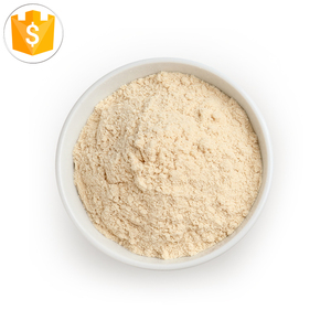 Uienpoeder OEM Groothandel 250g Gedroogde Rode Uienpoeder - Product Image 2