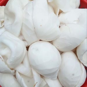 Producto caliente, grasa de coco desecada, medio - Product Image 1