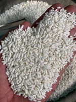 Riz Glutineux Séché de Qualité Supérieure, Grade Alimentaire, Origine Vietnam Tien Giang, Texture Douce, Faible Teneur en Humidité, Durée de Conservation 24 Mois