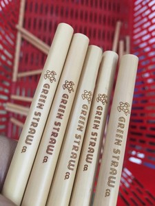 Pailles en bambou naturel de qualité alimentaire Eco2go Vietnam - Écologiques, biodégradables, jetables et réutilisables pour les fêtes - Product Image 1