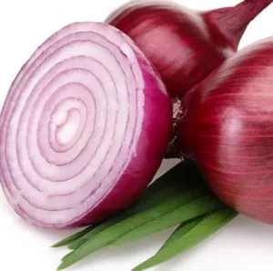 Aceite Esencial de Cebolla y Árbol de Té de Marca Reconocida, de Larga Duración, Aceite Esencial Puro para Eliminar Puntos Negros, Limpiador de Poros, Antienvejecimiento para la Piel - Product Image 5