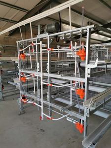 Pollo de otro Animal cría equipo pollo coop tipos de la cría de ganado - Product Image 4