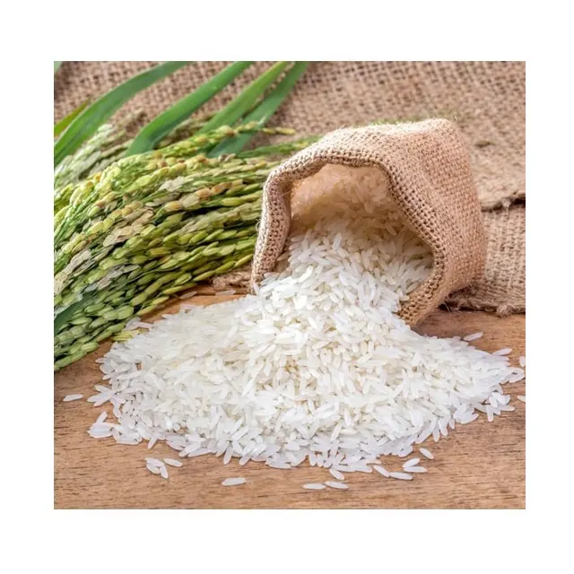 Styles de riz bodum thule, organique, Long et parfumé, Super bas prix