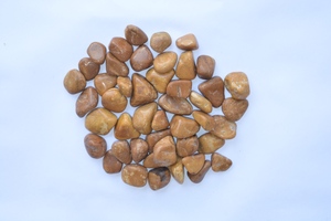 Bán Buôn Số Lượng Lớn Lạc Đà <span class=keywords><strong>Jasper</strong></span> Đánh Bóng Sỏi 25-35Mm Siêu Chất Lượng Tinh Thể Tự Nhiên Thạch Anh Agate Phong Thủy Khắc Đá Quý Cho - Product Image 4