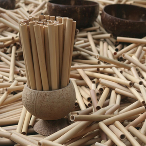 Best Supplier Bamboo Straws with Customized logo - Product Image 1
